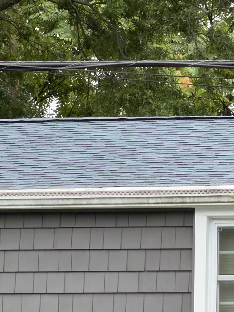Shingle roof and eaves above gray siding